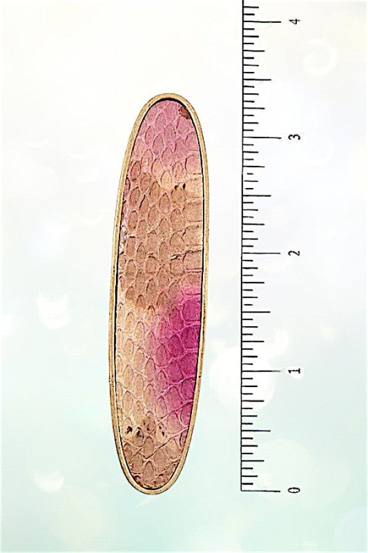 1A578ECD78566D4B19E01F66CE74173F/9a5e5aee-ad8f-4d8d-a313-7b95e96facbd.jpg